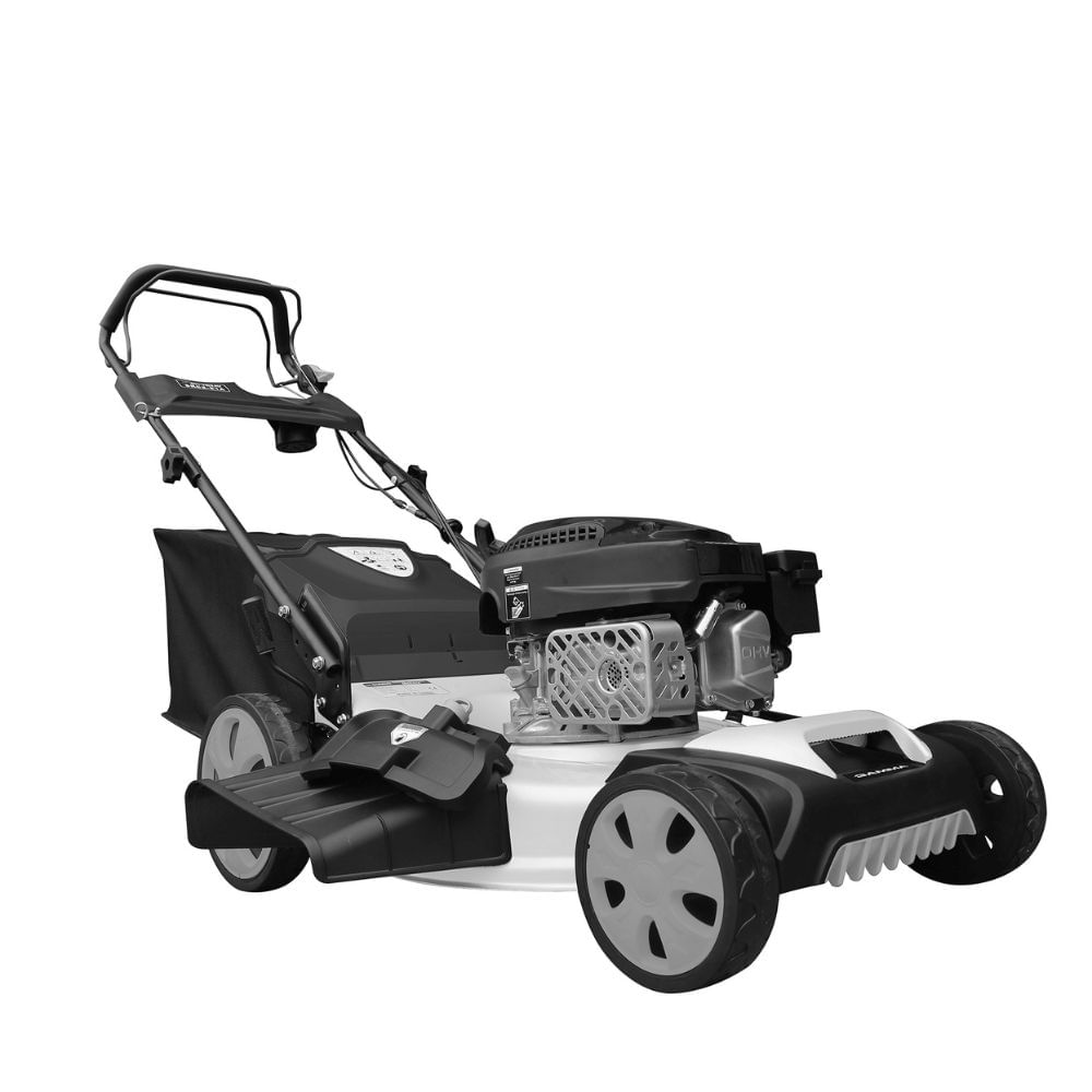 G4949ARA 1000x1000px G4949ARA 1000x1000px